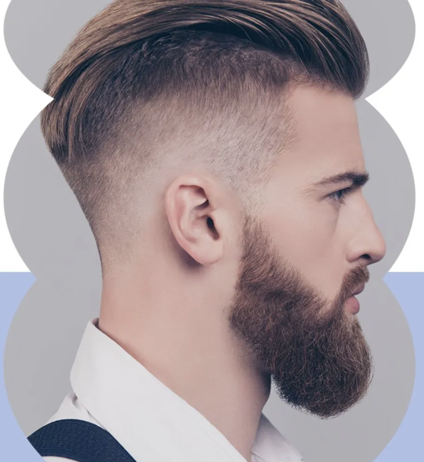 Corte + Progressiva